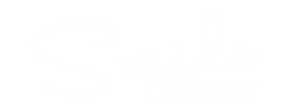 D1 Main logo