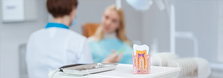 The foreground features a close up of a dental filling model figure while a blurred dentist consults her patient in the background The foreground features a close up of a dental filling model figure while a blurred dentist consults her patient in the background