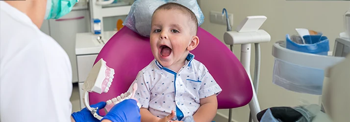 A young toddler opens wide to match the dentist's demonstration with the plastic teeth model A young toddler opens wide to match the dentist's demonstration with the plastic teeth model