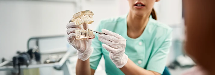 Gloved dental assistant in mint green demonstrates with a pick tool and model teeth Gloved dental assistant in mint green demonstrates with a pick tool and model teeth