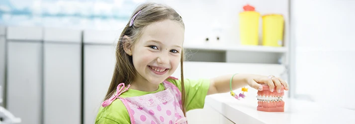 Smiling young girl in orthodontic clinic holding a dental model with braces, highlighting early orthodontic care. Smiling young girl in orthodontic clinic holding a dental model with braces, highlighting early orthodontic care.