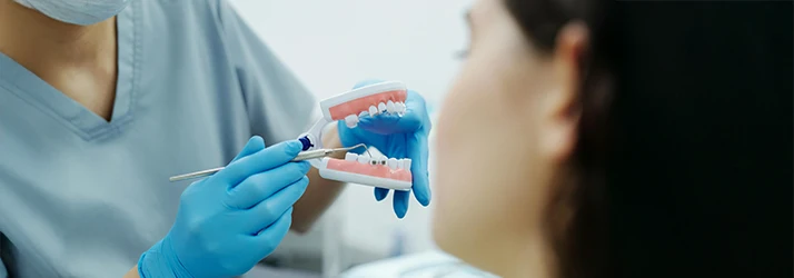 Orthodontist demonstrating different types of braces on a dental model to a patient during a consultation.