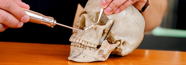 Oral surgeon demonstrating maxillofacial trauma surgery techniques on a skull model. Oral surgeon demonstrating maxillofacial trauma surgery techniques on a skull model.