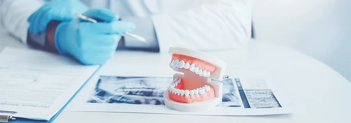 Oral surgeon reviewing dental X-rays with teeth model during oral surgery consultation. Oral surgeon reviewing dental X-rays with teeth model during oral surgery consultation.