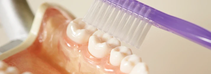 Dentures Cleaning and Care in Portland ME